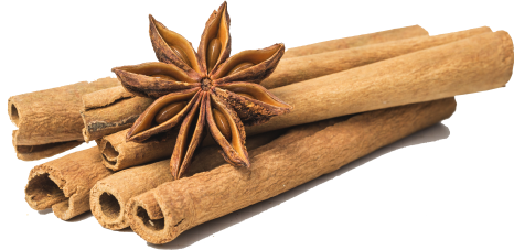 Cinnamomum