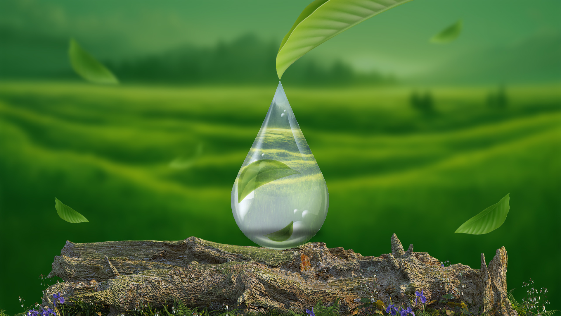 Outstanding efficiency