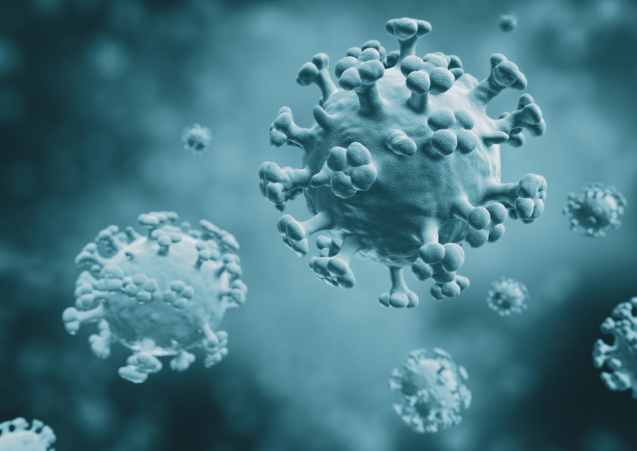 Regular exercise can significantly reduce the risk of death from flu, pneumonia