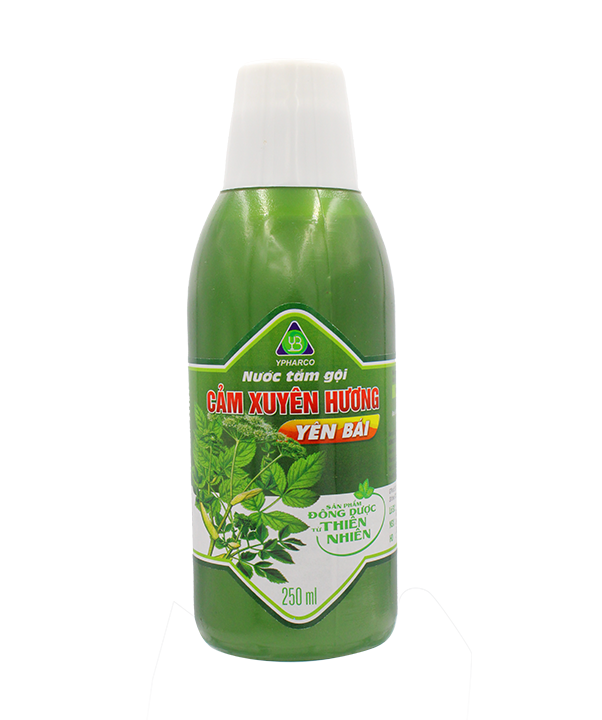 Nước tắm gội Cảm Xuyên Hương Yên Bái