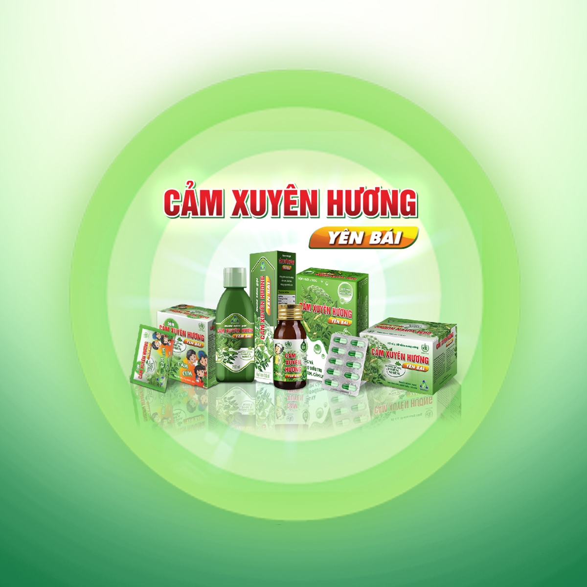 Các dòng Cảm Xuyên Hương